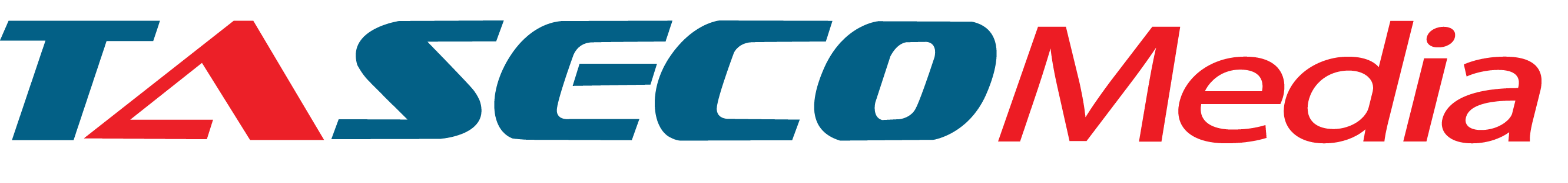 <p><strong>T&Ecirc;N C&Ocirc;NG TY</strong></p>
